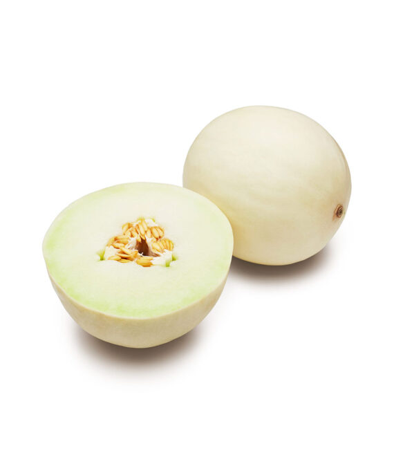Honeydew Melon